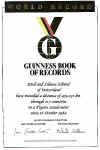 guinness[1].jpg (52437 octets)